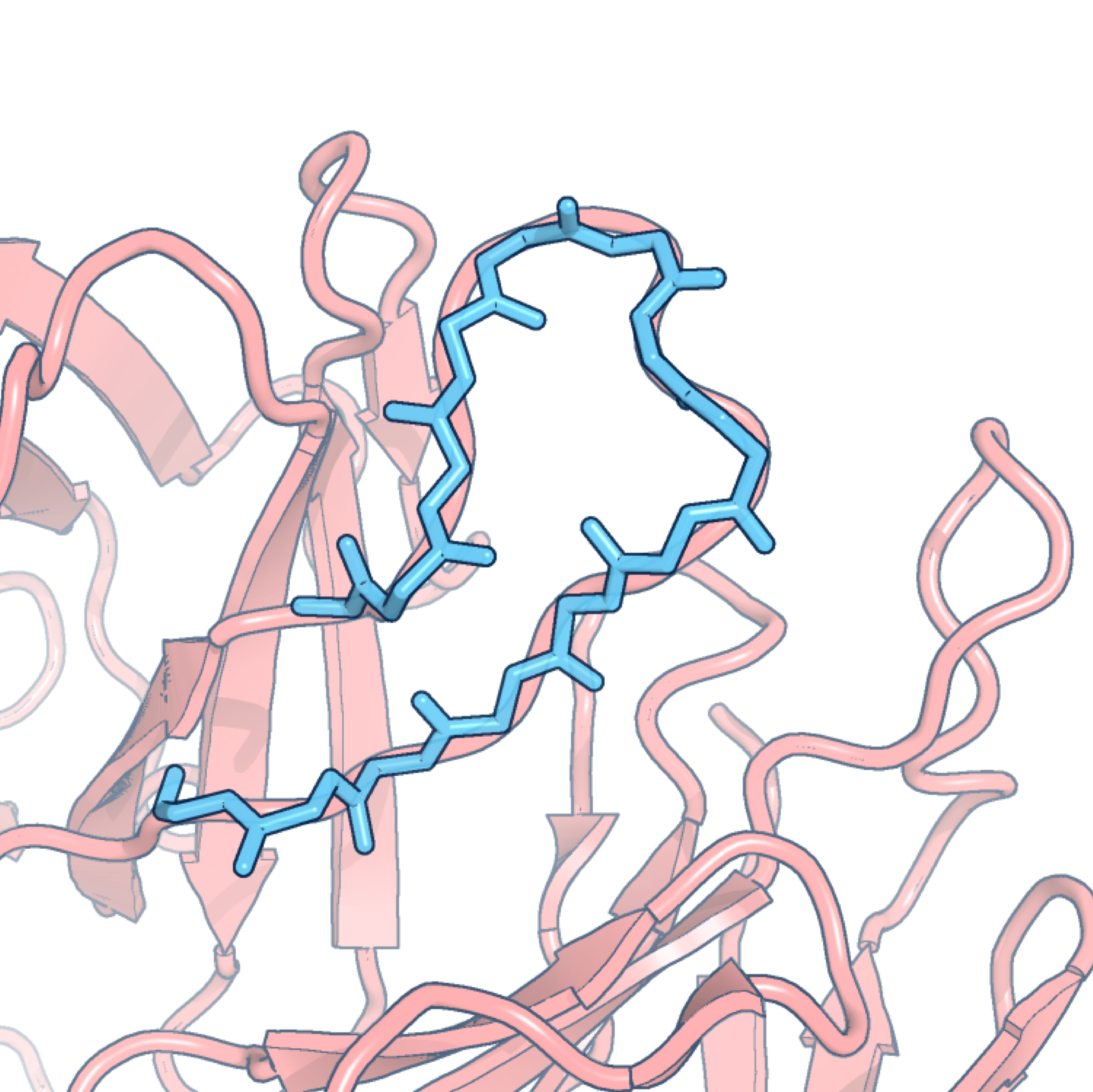 loop structure