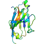 Image of protein cartoon